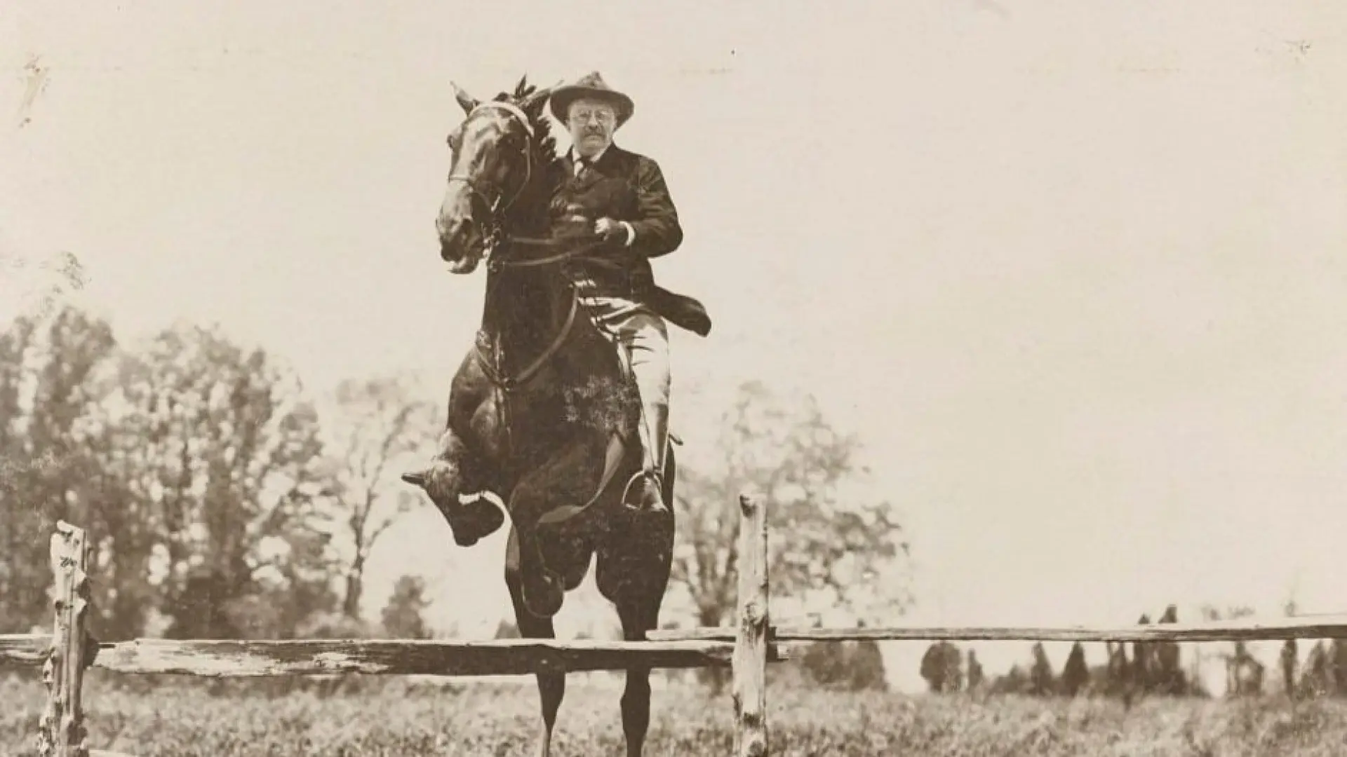 tr