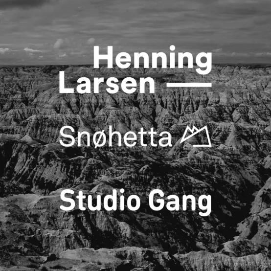 Studio Gang