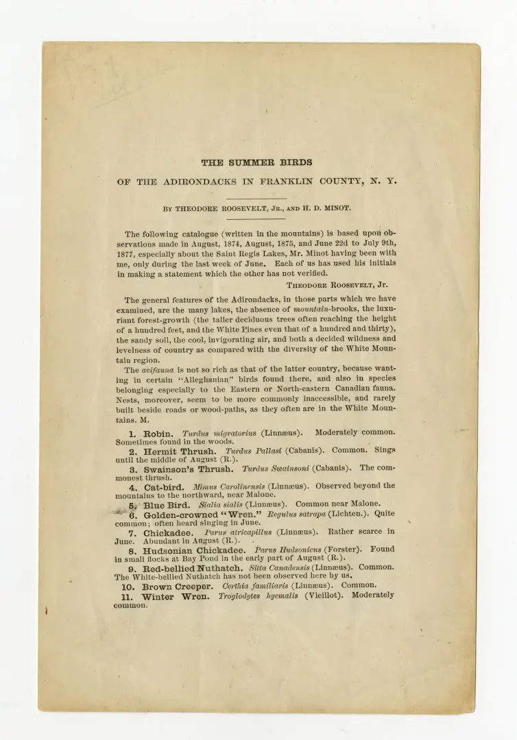 Front cover of Theodore Roosevelt's SUMMER BIRDS OF THE ADIRONDACKS