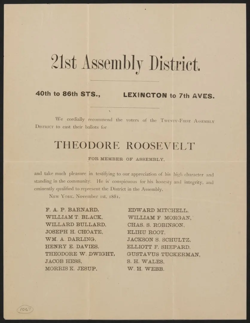 Pamphlet recommending Theodore Roosevelt as a member of the New York State Assembly