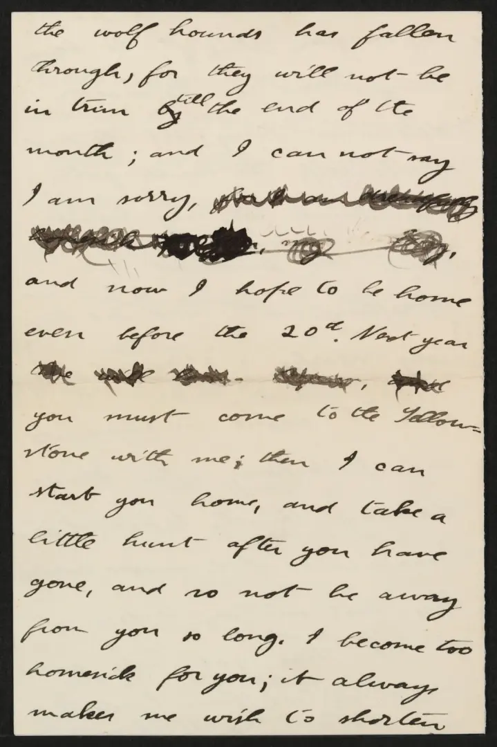 Letter from Theodore Roosevelt to Edith Kermit Carow Roosevelt