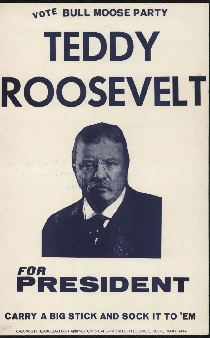Teddy Roosevelt for President campaign poster