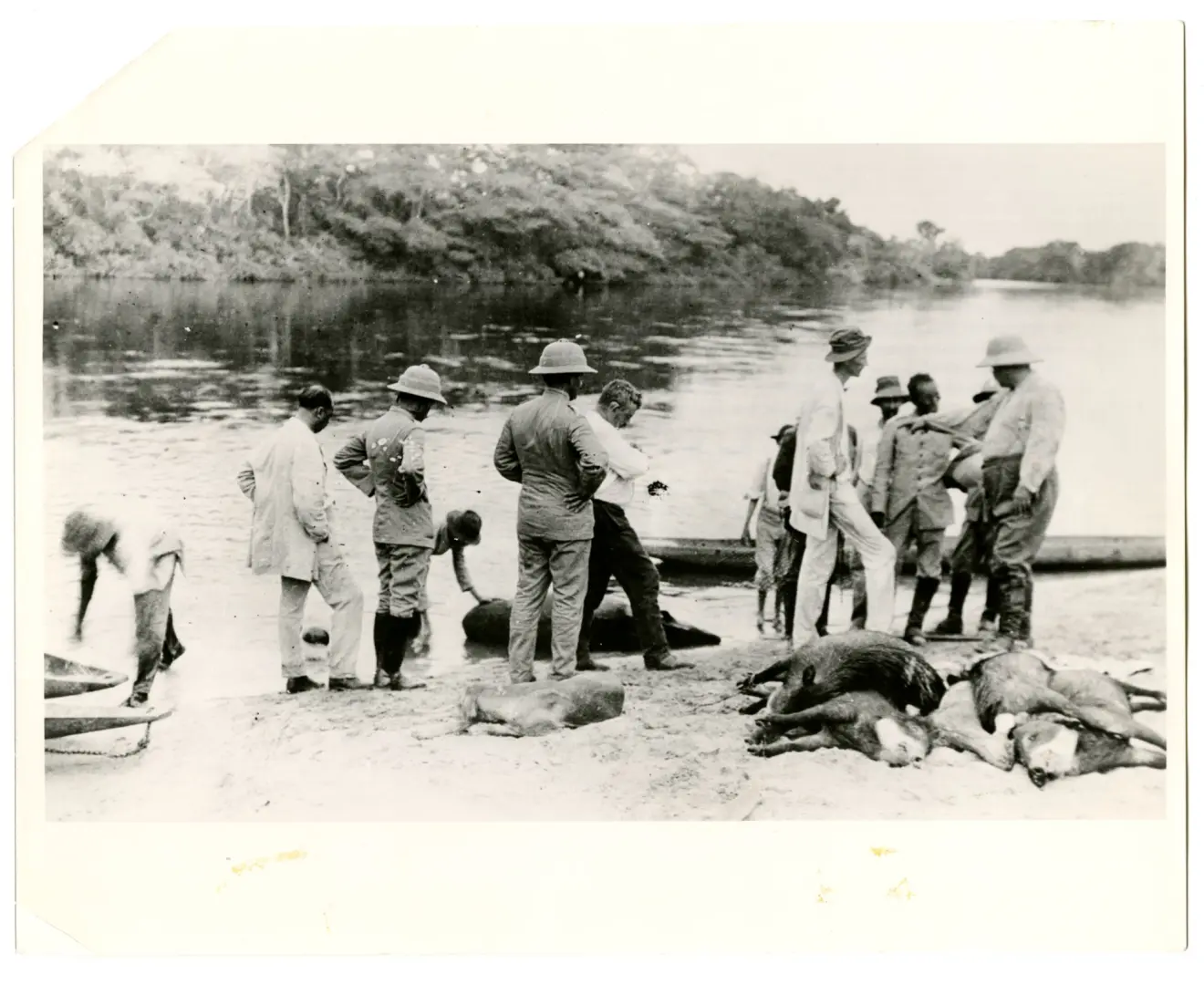 Members of the Roosevelt-Rondon scientific expedition