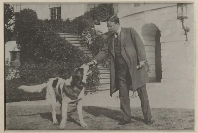 TR and Animals Quiz